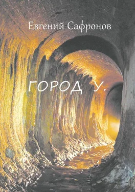 Евгений Сафронов Город У обложка книги