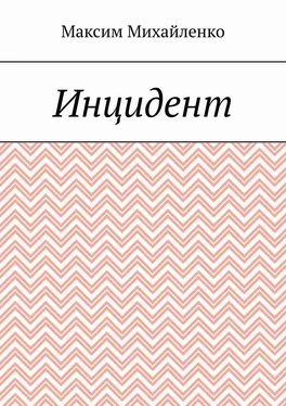 Максим Михайленко Инцидент обложка книги