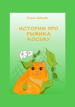 Олеся Шевцова Истории про Рыжика Коську обложка книги