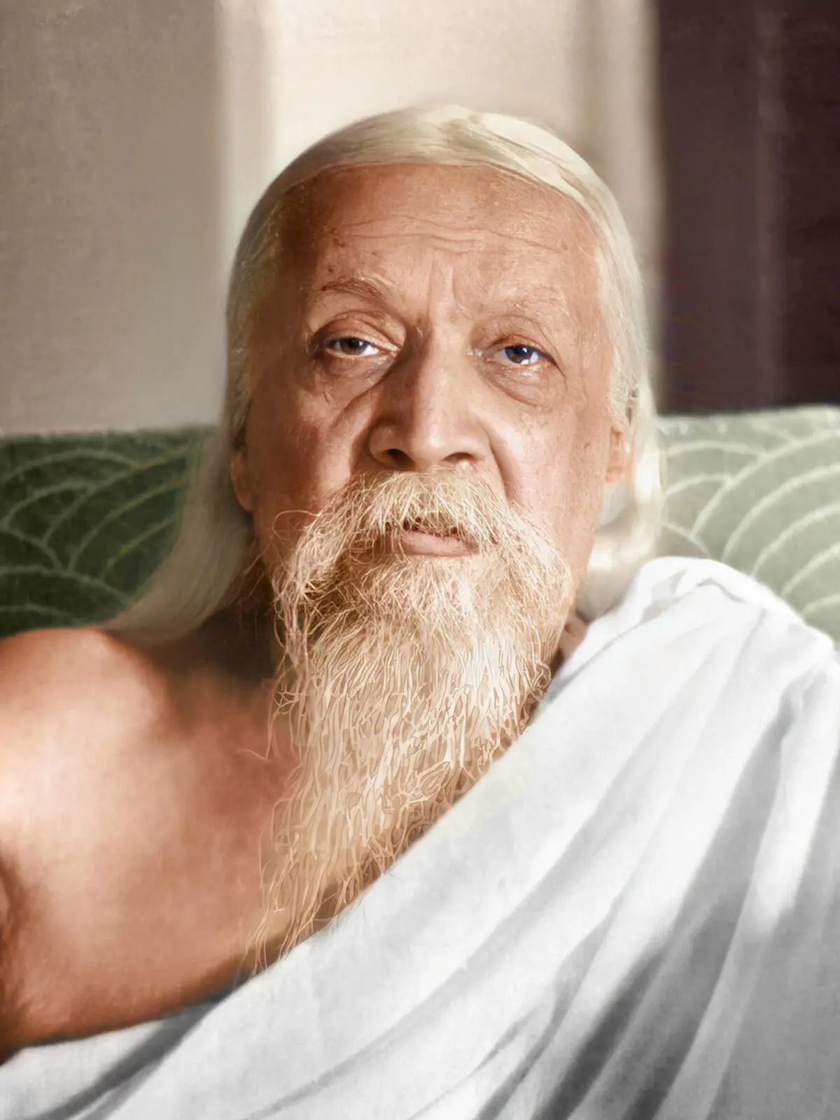 Sri Aurobindo Lasst uns über die verheißungsvollste Form Savitris meditieren - фото 6