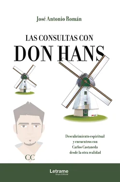 José Antonio Román Las consultas con don Hans обложка книги