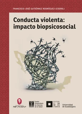 Luis Miguel Sánchez Loyo Conducta violenta: impacto biopsicosocial обложка книги