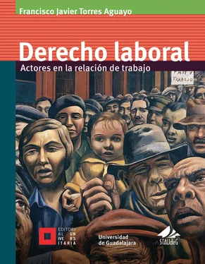 Francisco Javier Torres Aguayo Derecho laboral обложка книги