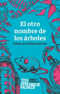 Jorge Gutiérrez Reyna El otro nombre de los árboles обложка книги