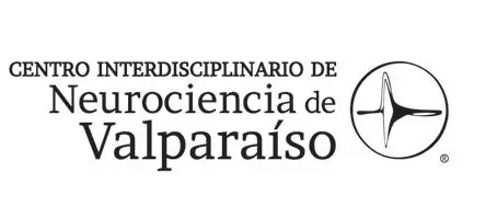 Centro Interdisciplinario de Neurociencia de Valparaíso CINV DEMENTE 2 DOS - фото 4