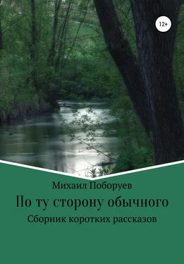 Михаил Поборуев По ту сторону обычного