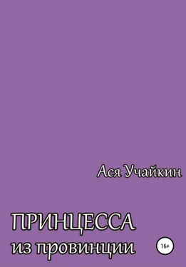 Ася Учайкин Принцесса из провинции обложка книги