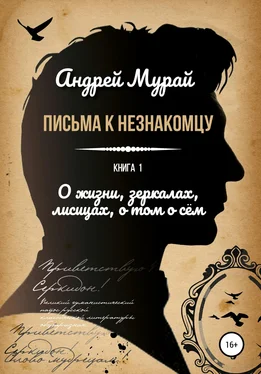 Андрей Мурай Письма к незнакомцу. Книга 1. О жизни, зеркалах, лисицах, о том о сем обложка книги