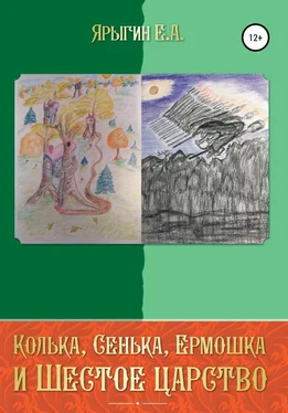 Евгений Ярыгин Колька, Сенька, Ермошка и Шестое Царство