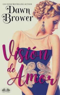 Dawn Brower Visión De Amor обложка книги