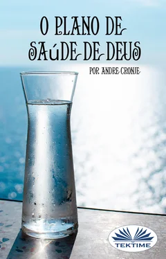 André Cronje O Plano De Saúde De Deus обложка книги