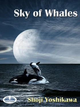 Shoji Yoshikawa Sky Of Whales обложка книги