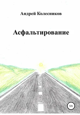 Андрей Колесников Асфальтирование обложка книги