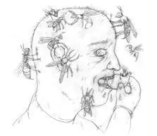 ДУБ ДОЛЬЧАТЫЙ Quercus lobata Многие дубы служат пристанищем для разных - фото 4