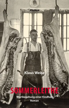 Klaus Weise Sommerleithe обложка книги