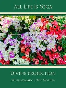 Sri Aurobindo All Life Is Yoga: Divine Protection обложка книги