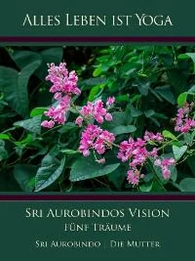 Die (d.i. Mira Alfassa) Mutter Sri Aurobindos Vision обложка книги