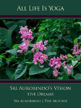 Sri Aurobindo All Life Is Yoga: Sri Aurobindo’s Vision обложка книги