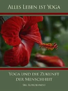 Die (d.i. Mira Alfassa) Mutter Yoga und die Zukunft der Menschheit обложка книги