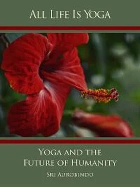 Sri Aurobindo All Life Is Yoga: Yoga and the Future of Humanity обложка книги