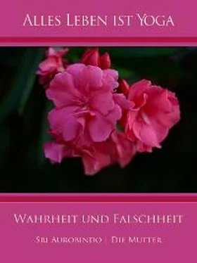 Die (d.i. Mira Alfassa) Mutter Wahrheit und Falschheit обложка книги