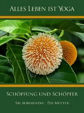 Die (d.i. Mira Alfassa) Mutter Schöpfung und Schöpfer обложка книги