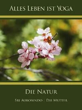 Die (d.i. Mira Alfassa) Mutter Die Natur обложка книги