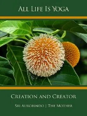 Sri Aurobindo All Life Is Yoga: Creation and Creator обложка книги