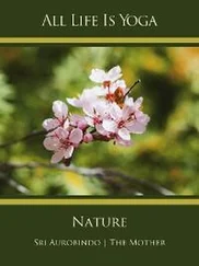 Sri Aurobindo - All Life Is Yoga - Nature