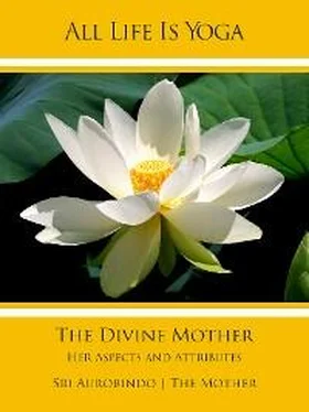 Sri Aurobindo All Life Is Yoga: The Divine Mother обложка книги