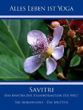 Die (d.i. Mira Alfassa) Mutter Savitri обложка книги