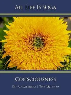 Sri Aurobindo All Life Is Yoga: Consciousness обложка книги