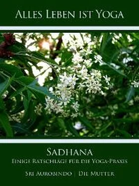 Die (d.i. Mira Alfassa) Mutter Sadhana обложка книги