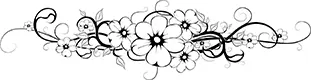 Blume auf dem Cover Azadirachta indica Weiß Die von der Mutter gegebene - фото 6