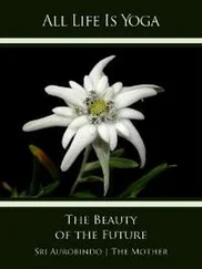 Sri Aurobindo - All Life Is Yoga - The Beauty of the Future