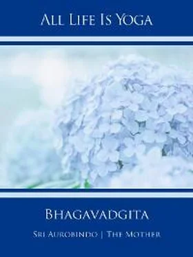 Sri Aurobindo All Life Is Yoga: Bhagavadgita обложка книги