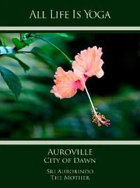 Sri Aurobindo All Life Is Yoga: Auroville – City of Dawn обложка книги