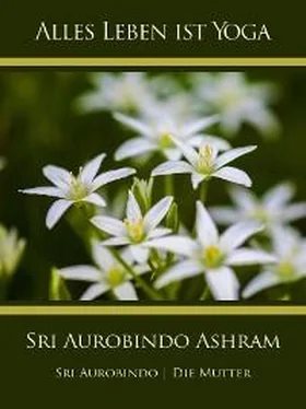 Sri Aurobindo Sri Aurobindo Ashram обложка книги