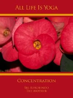 Sri Aurobindo All Life Is Yoga: Concentration обложка книги