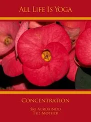 Sri Aurobindo - All Life Is Yoga - Concentration