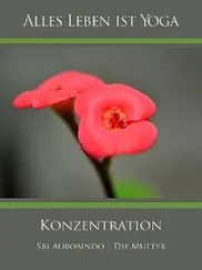 Die (d.i. Mira Alfassa) Mutter - Konzentration