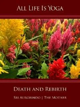 Sri Aurobindo All Life Is Yoga: Death and Rebirth обложка книги