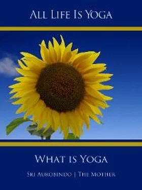 Sri Aurobindo All Life Is Yoga: What is Yoga обложка книги