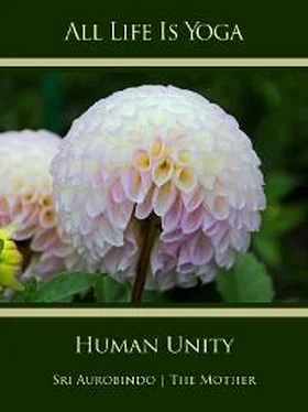 Sri Aurobindo All Life Is Yoga: Human Unity обложка книги