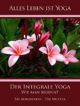 Die (d.i. Mira Alfassa) Mutter Der Integrale Yoga обложка книги
