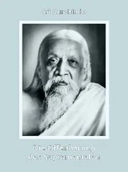 Sri Aurobindo - Die Offenbarung des Supramentalen