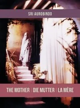 Sri Aurobindo Die Mutter обложка книги