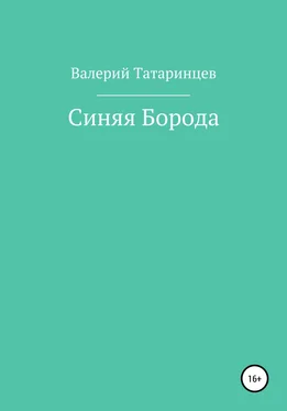 Валерий Татаринцев Синяя Борода обложка книги