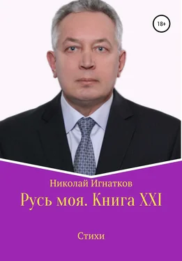 Николай Игнатков Русь моя. Книга XXI обложка книги