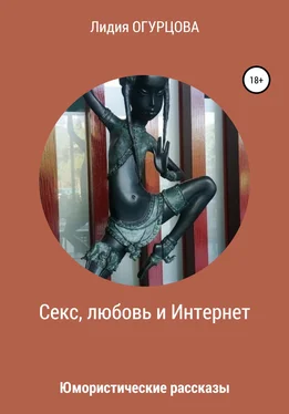 Лидия Огурцова Секс, любовь и Интернет обложка книги
